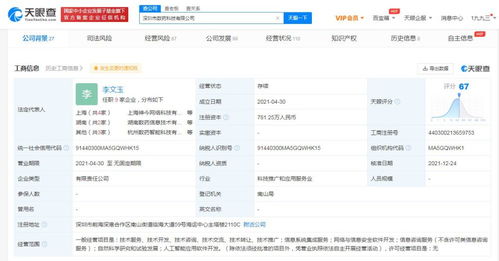 信息系統(tǒng)集成服務(wù)的價值與實施策略