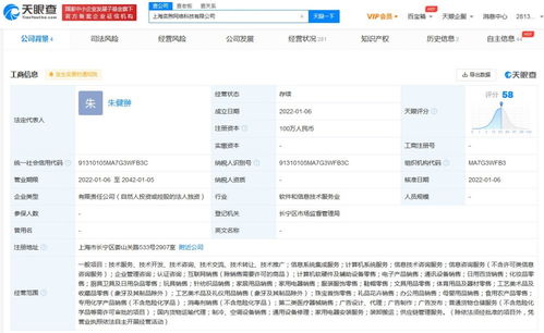 信息系統集成服務的核心價值與應用前景